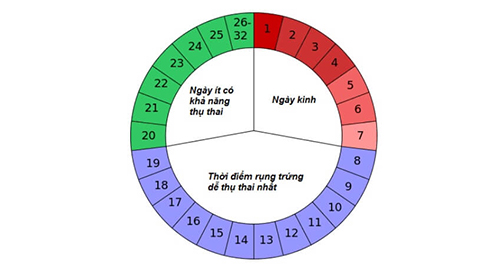 cach tinh-ngay-rung-trung-1